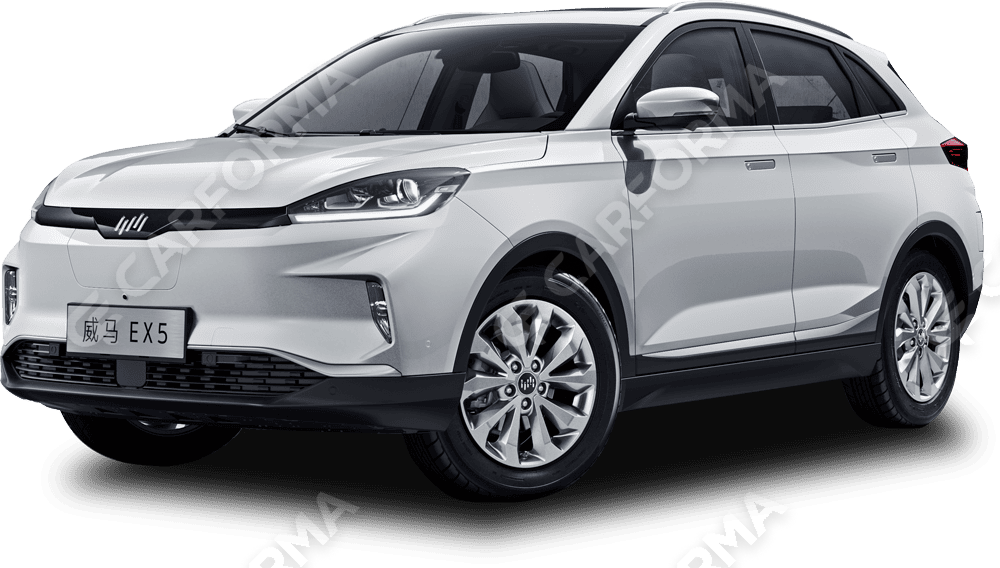 EVA коврики на Weltmeister EX5 2018&nbsp;-&nbsp;2022