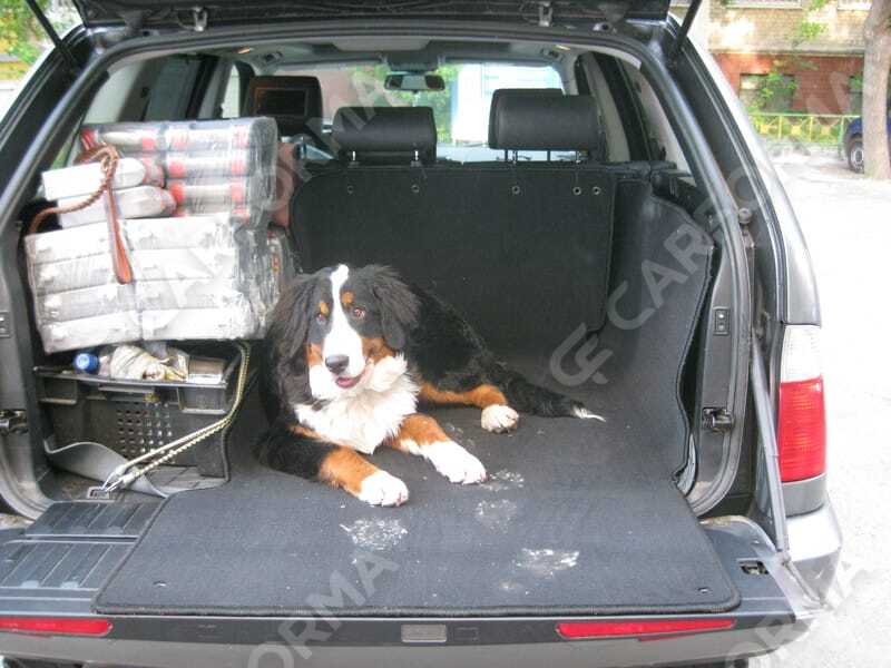 Коврики на BMW X5 (E53) 1999&nbsp;-&nbsp;2006 в Череповеце