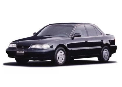 Ворсовые коврики на Hyundai Sonata 3 (Y3) 1993&nbsp;-&nbsp;1998 в Череповеце