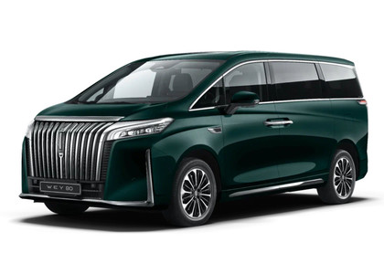 Ворсовые коврики на WEY 80 2024&nbsp;-&nbsp;2026 в Череповеце