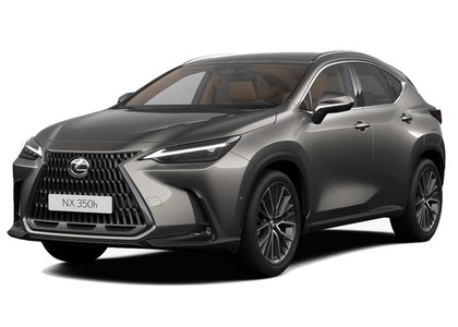 Коврики на Lexus NX II 2021&nbsp;-&nbsp;2026 в Череповеце