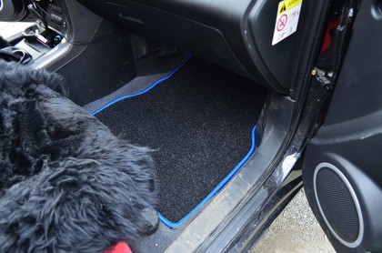 EVA коврики на Lifan X60 2011&nbsp;-&nbsp;2022 в Череповеце