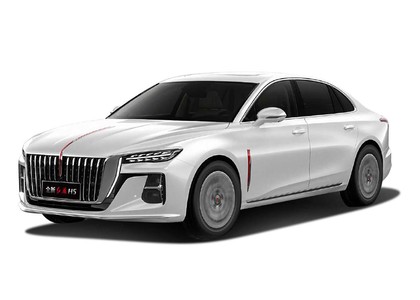 Ворсовые коврики на Hongqi H5 II 2022&nbsp;-&nbsp;2026 в Череповеце