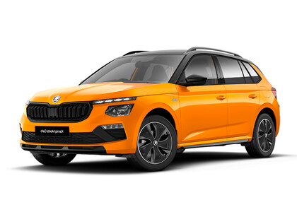 Ворсовые коврики на Skoda Kamiq (Европа) 2019&nbsp;-&nbsp;2026 в Череповеце