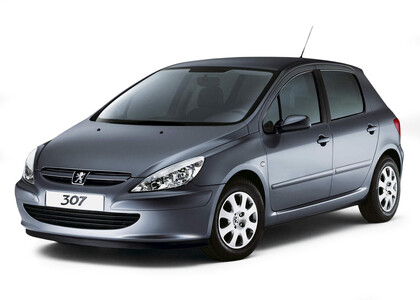 Ворсовые коврики на Peugeot 307 2001&nbsp;-&nbsp;2008 в Череповеце