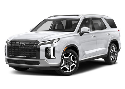 Коврики на Hyundai Palisade 2018&nbsp;-&nbsp;2026 в Череповеце