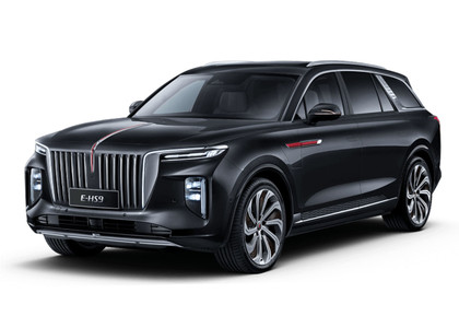 Ворсовые коврики на Hongqi E-HS9 2022&nbsp;-&nbsp;2026 в Череповеце