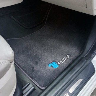 Ворсовые коврики на BMW 5 Gran Turismo (F07) 2009&nbsp;-&nbsp;2016 в Череповеце