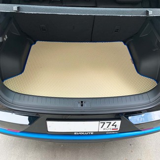 Ворсовые коврики на Evolute i-Joy 2022&nbsp;-&nbsp;2026 в Череповеце