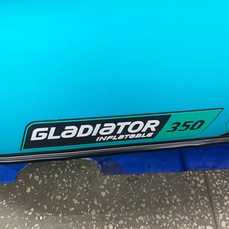 Ворсовые коврики на Лодки Gladiator E350S  в Череповеце