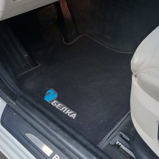 Ворсовые коврики на BMW 5 Gran Turismo (F07) 2009&nbsp;-&nbsp;2016 в Череповеце