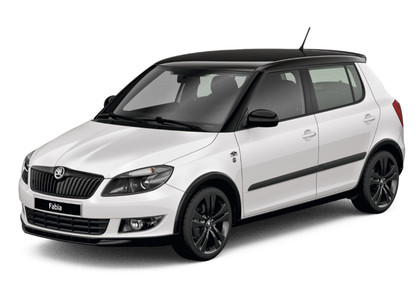 Ворсовые коврики на Skoda Fabia II 2007&nbsp;-&nbsp;2015 в Череповеце