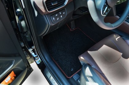 Ворсовые коврики на Hyundai Santa Fe IV 2018&nbsp;-&nbsp;2021 в Череповеце