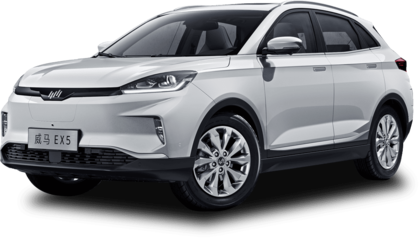 Ворсовые коврики на Weltmeister EX5 2018&nbsp;-&nbsp;2022 в Череповеце